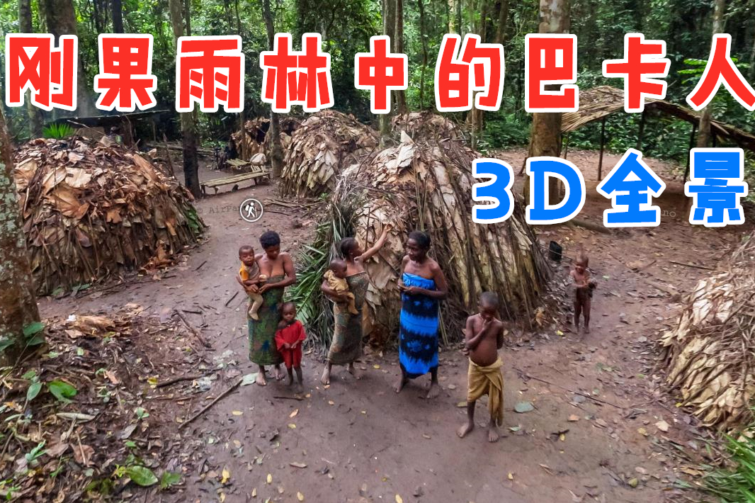 上帝视角,高清360°带你看世界(刚果雨林中的巴卡人)
