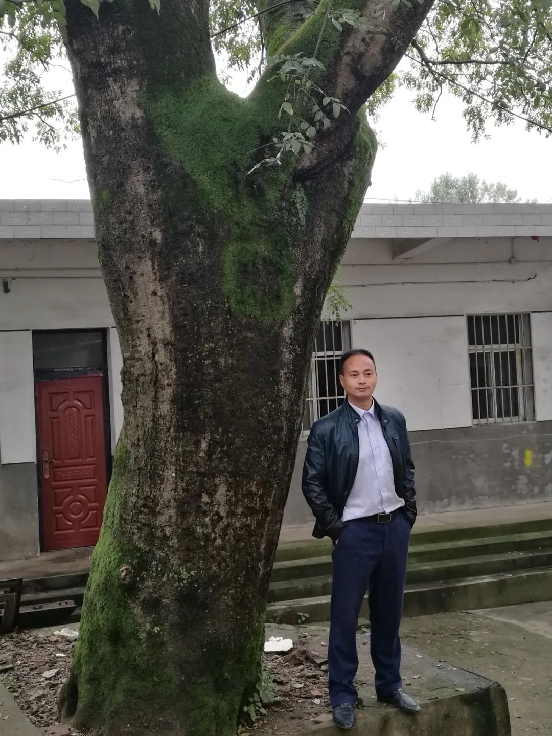 青禾那般春日外一首