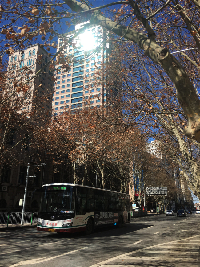 街 2020,2,22大连一德街 2020,2,22大连南山路 2020,2,22大连延安路