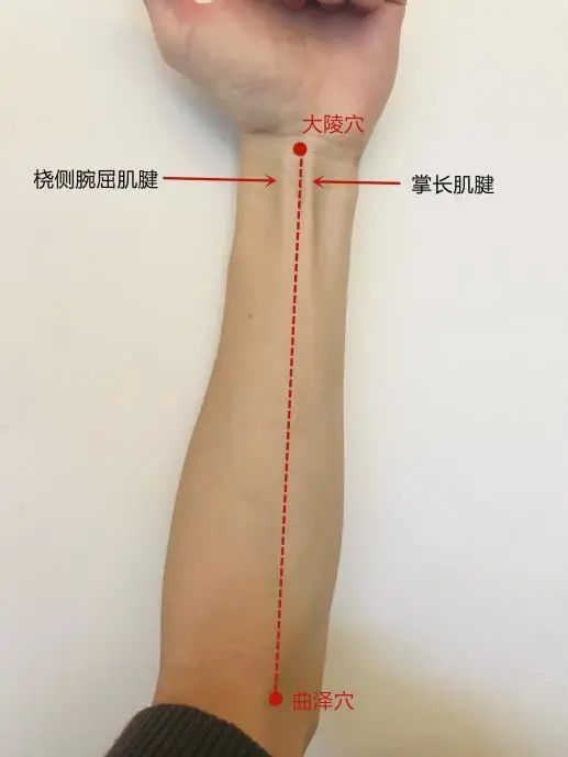 养生堂宅在家里闷得慌试试刮痧疗法