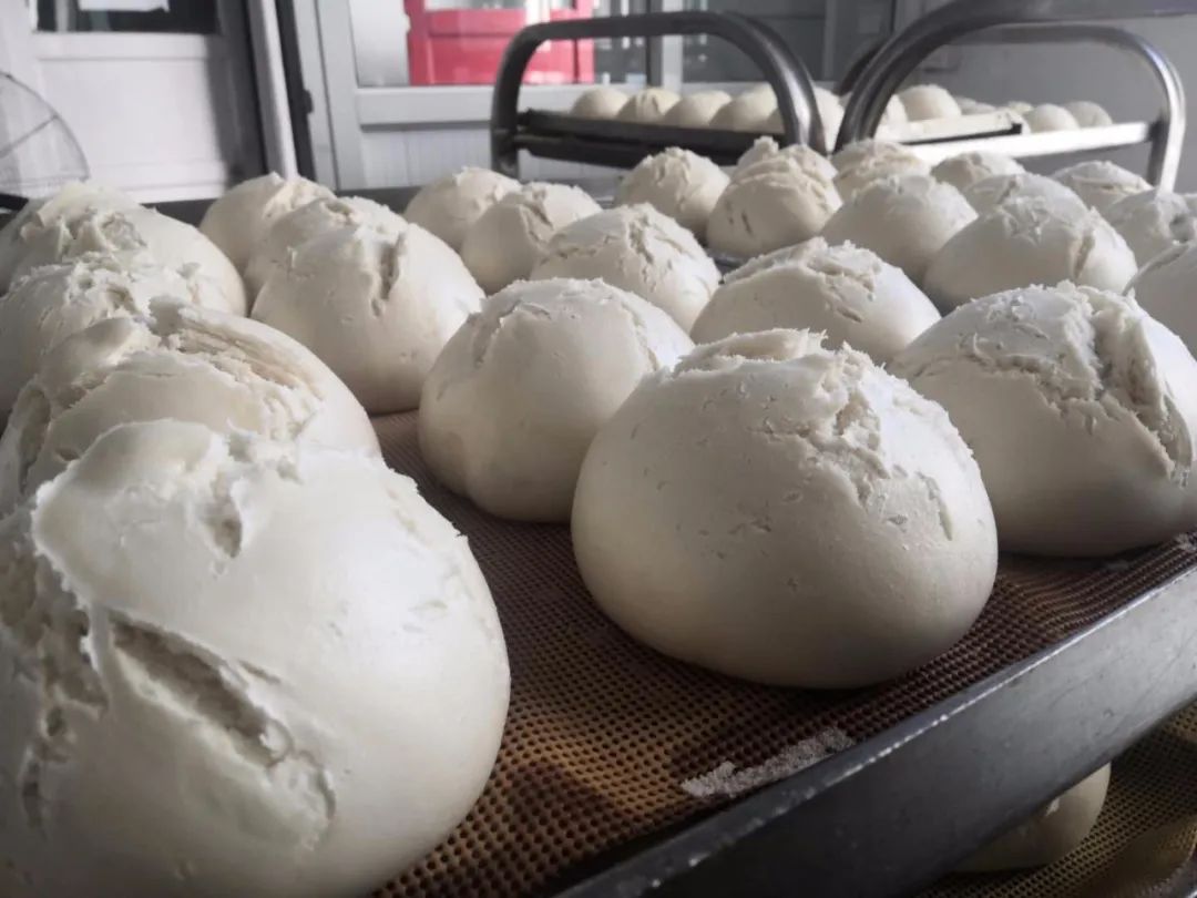 七八位工人忙着和面,揉面,一屉屉热气腾腾的馒头不时从气蒸间推出来