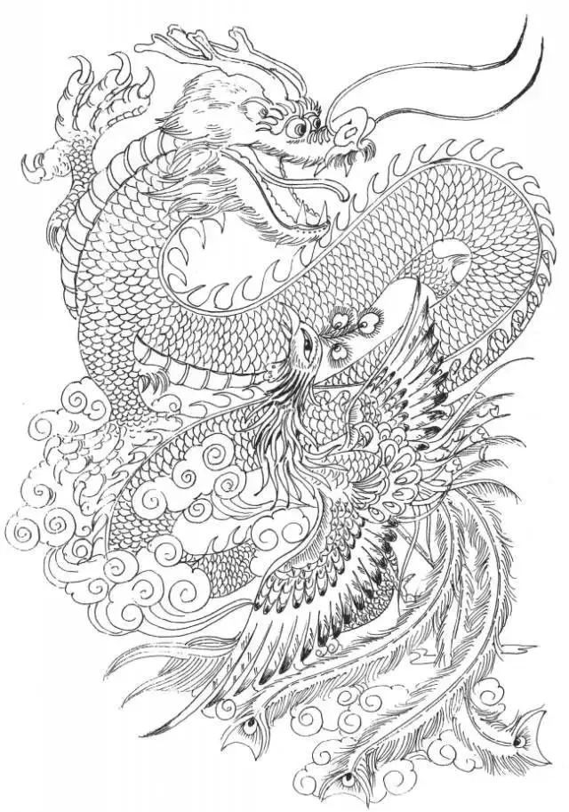 素材龙凤白描图24幅值得收藏