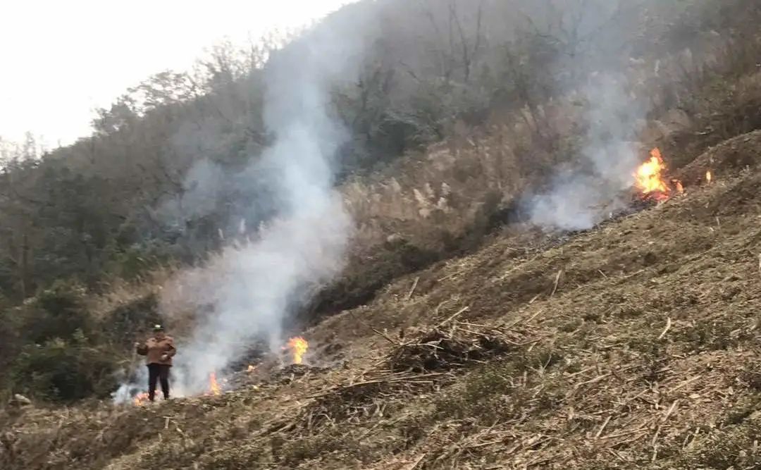 野外用火 要闯大祸