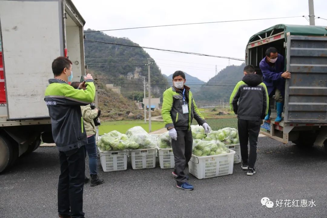 【把时间抢回来 把损失补回来】黔农云线上商城 生活必需品优惠于民