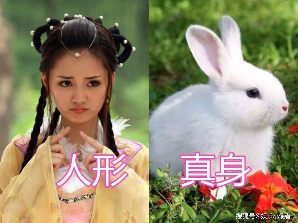 原创活佛济公人形vs真身白雪没啥看到这位鸡皮疙瘩起来了