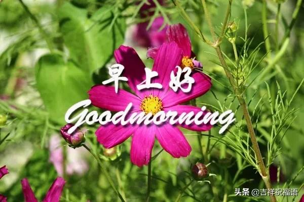 二月初一早上好祝福语图片带字带祝福语 问候亲友短信简短