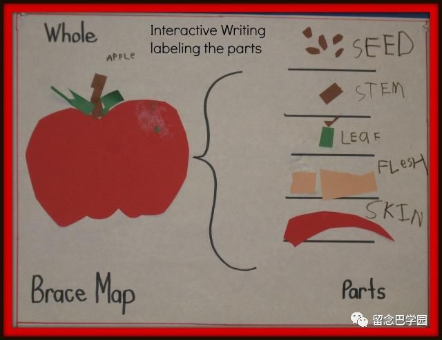 思维导图thinkingmaps思考的万能钥匙
