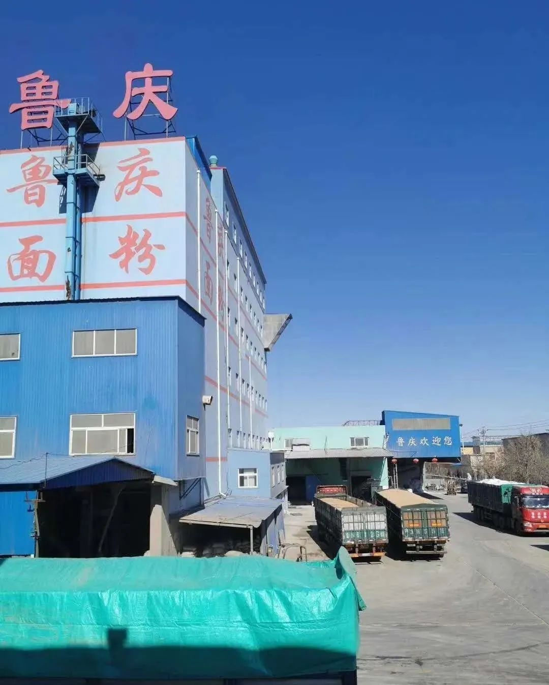 欢迎观看鲁庆面粉企业宣传片来 源丨面粉信息网返回搜狐,查看更多