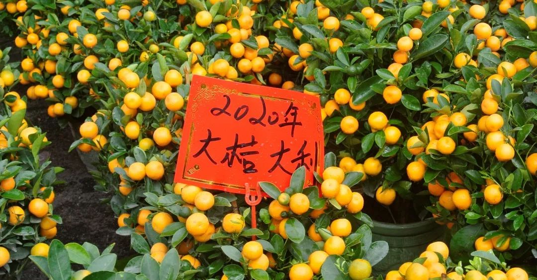 一切一定吉祥如意,顺顺利利