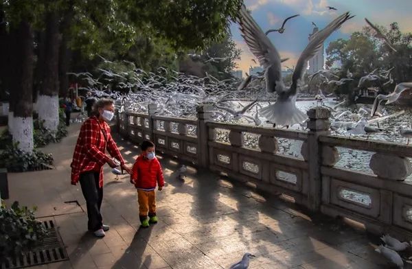 摄影| 昆明摄影家镜头中的最美逆行者!_王正鹏