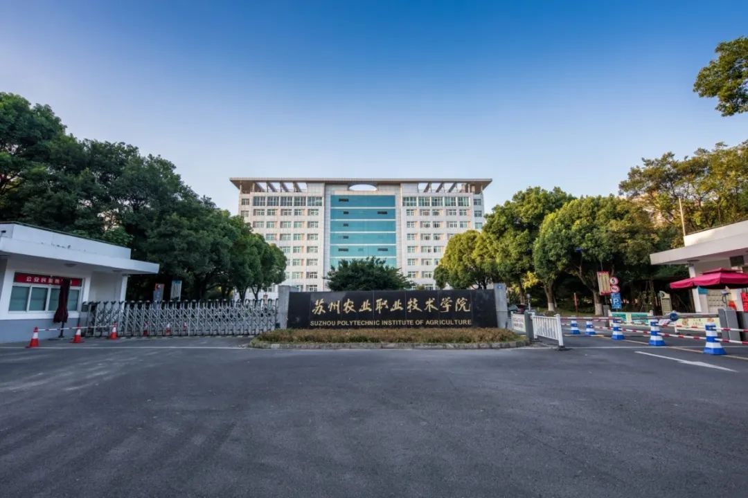 苏农跻身全国普通高校教师教学竞赛排行榜高职第五名全省第一