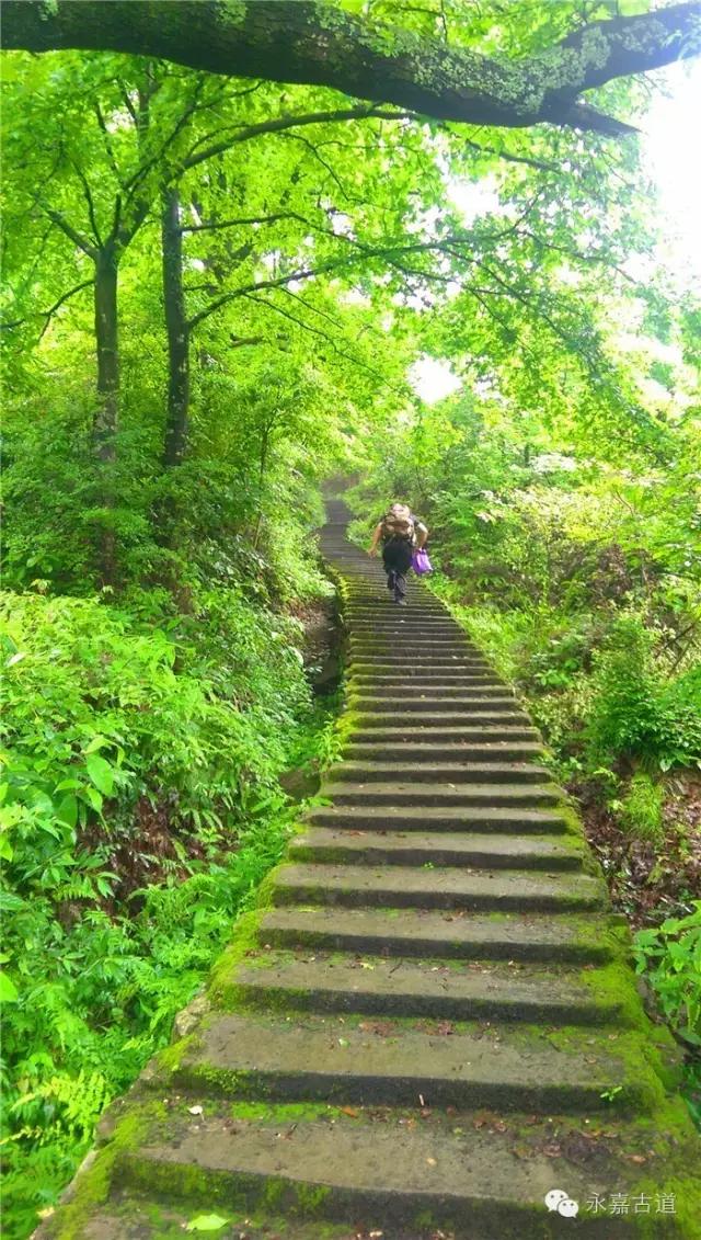 原创温州东嶂岭古道风景如画