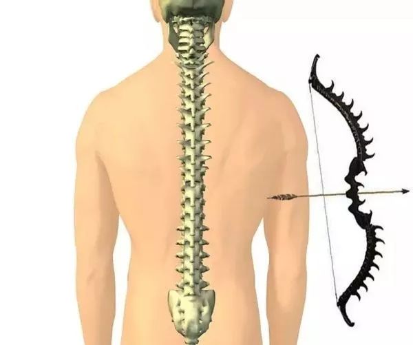 内家功夫的核心竟然是这个可惜很多人都不懂