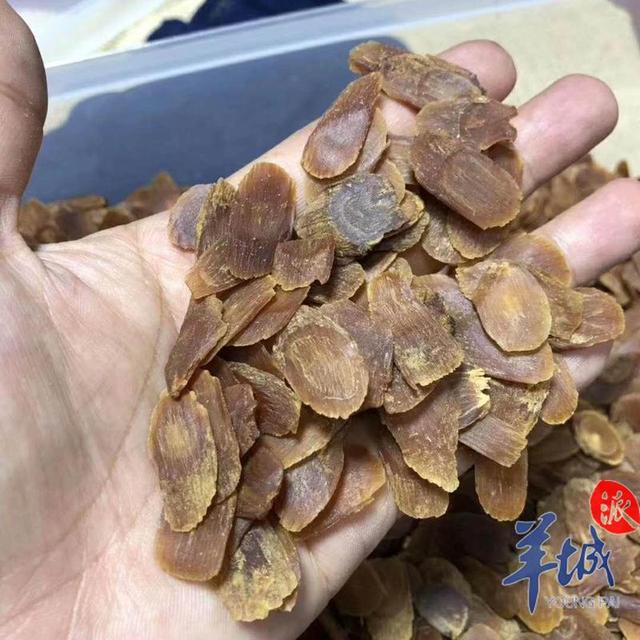 春季食人参补正气驱寒气_红参
