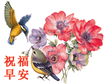 350_280gif 动态图 动图