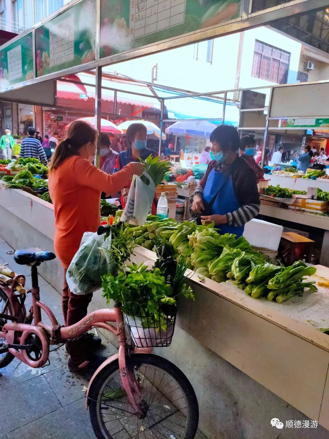 关于24小时专业跑腿服务	陪诊跑腿服务顺义区黄牛票贩子号贩子联系方式的信息