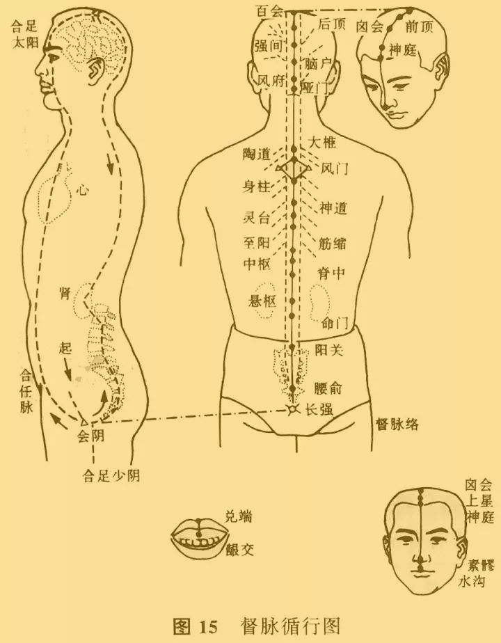 全息刮痧法