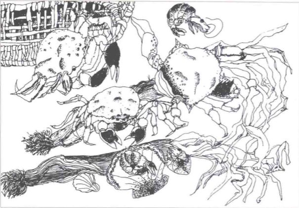 杨景芝教授儿童绘画的原创性是孩子来自生活体验的灵感