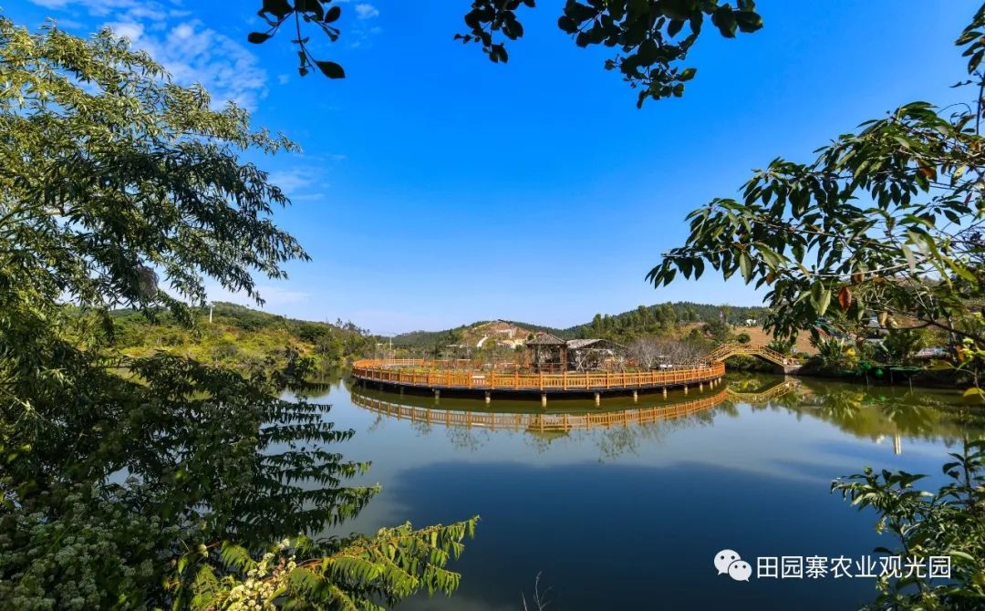 春来,疫走,田园寨盼见到疫情过后平安的你_廉江市