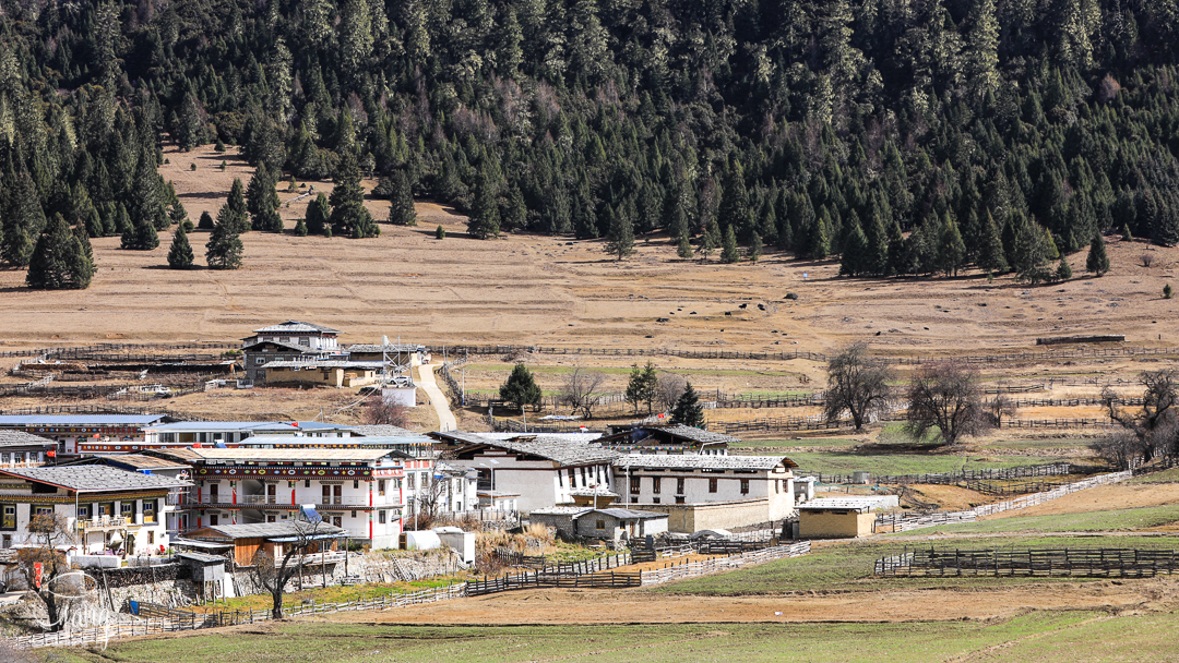 原创自驾林芝,来到鲁朗镇扎西岗民俗村,眼前就是"东方瑞士"