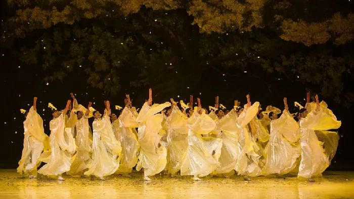 孔子舞剧之采薇堪称中国古典舞的典范之作