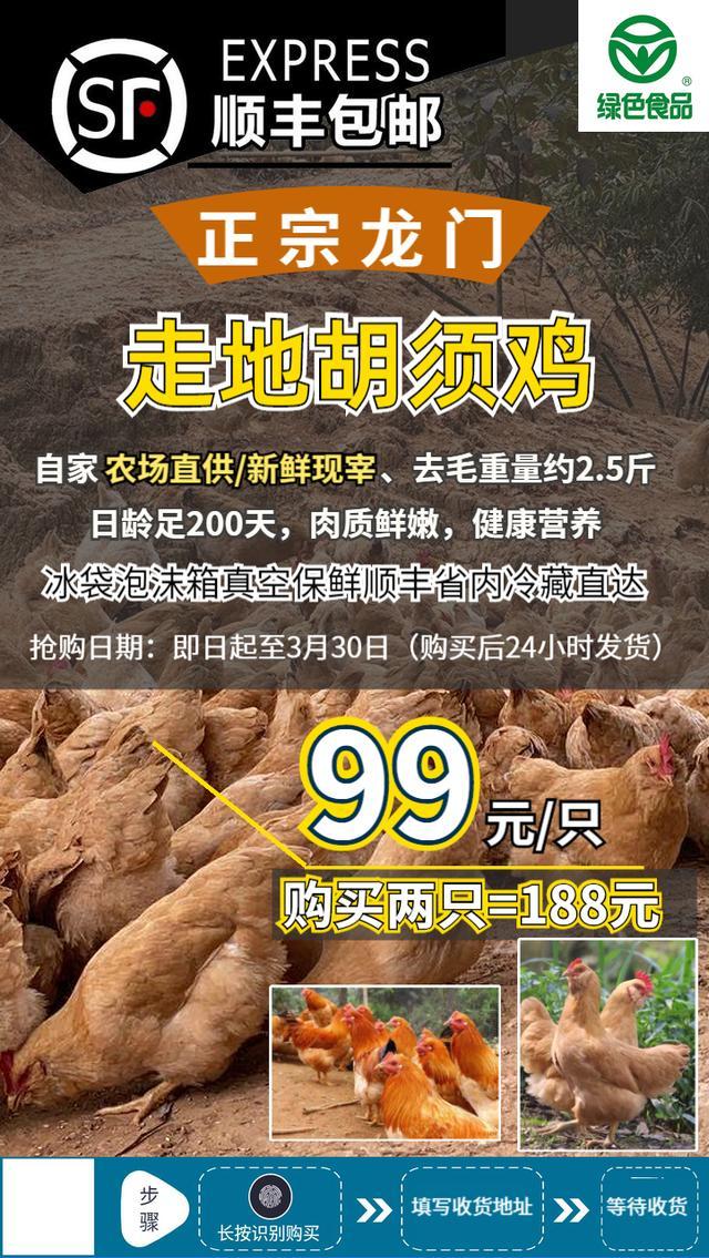 龙门市的顶级胡须鸡喂养食草虫肉质鲜美冷链到家仅992只