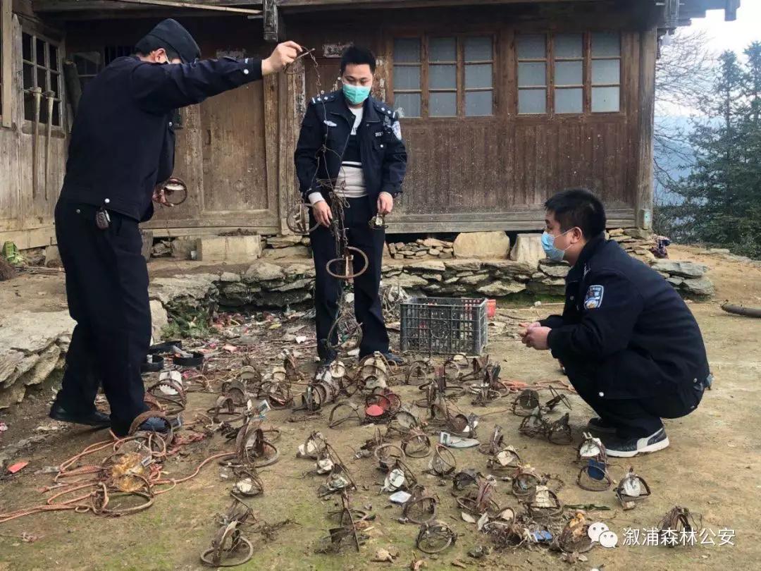 野猪报警器 捕兽图片