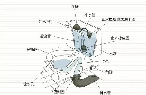 坐便构造结构图图片