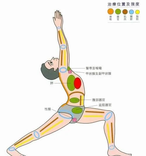 瑜伽体式详解战士一式解析