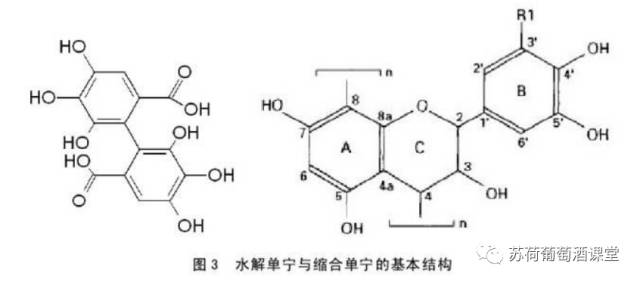 总看到把单宁说成是单宁酸那么单宁真的酸吗