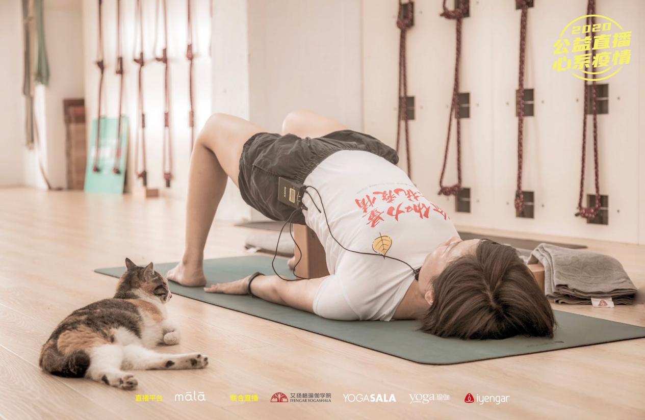 yogasala瑜伽会馆图片