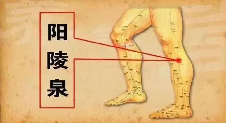 艾灸这个穴位胆囊炎胆结石胆息肉都搞定