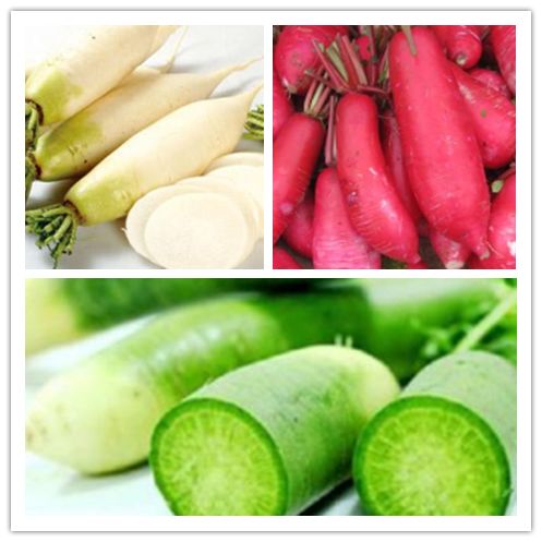 止咳消食和疏肝白红青萝卜该选谁大米储存不当会产生肝癌毒素