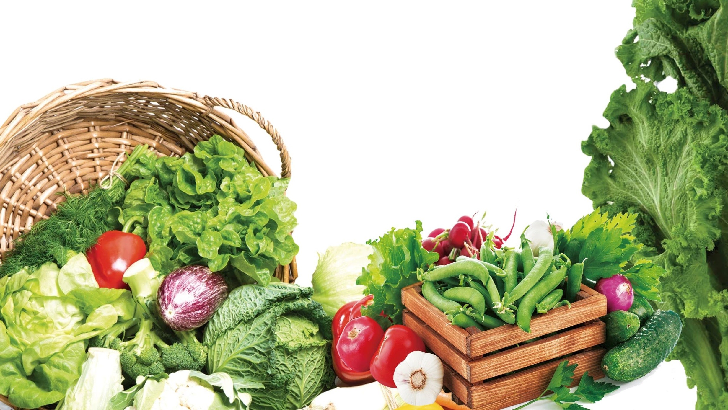 疫情过后的生鲜配送行业其竞争核心点是什么