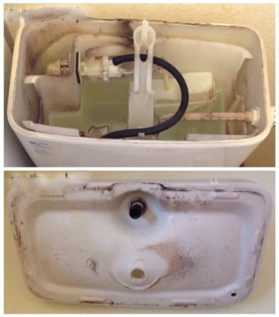 天天都刷马桶却漏了一个地方,掀开一看:污垢厚厚一层,太脏了_水箱