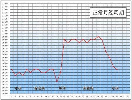 基础体温曲线呈现标准的高低温双相变化