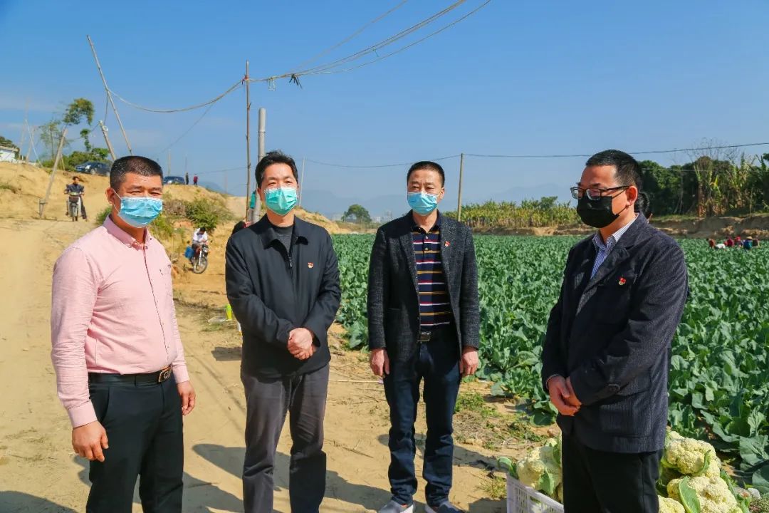 撸起袖子加油干!_山城镇