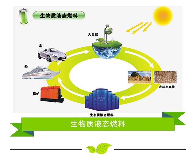 干货五分钟读懂革命性生物质能生产新技术