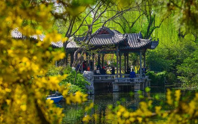 央视直播济南大明湖趵突泉春色其实济南的春天是这样的