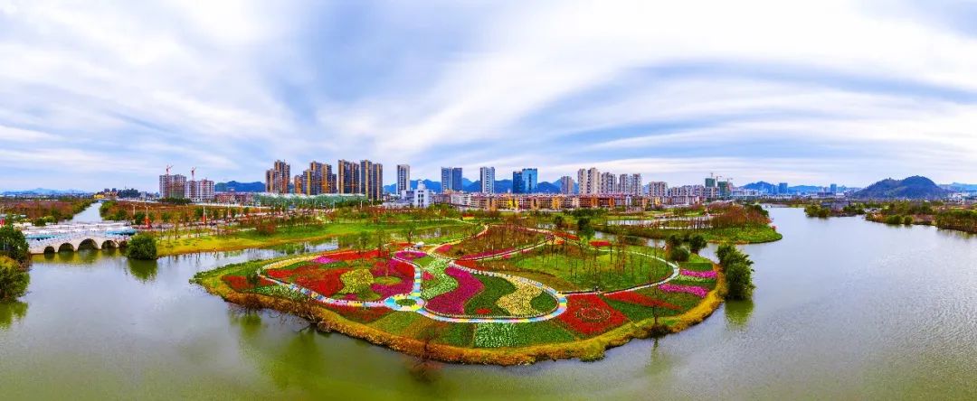 九龙汇湿地公园30万株郁金香已盛开!今年我们可以在线vr赏花!_温岭