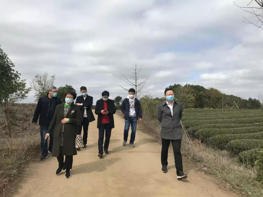 2月13日上午,新昌县副县长吕田率县府办梁春源副主任,农业农村局章俊