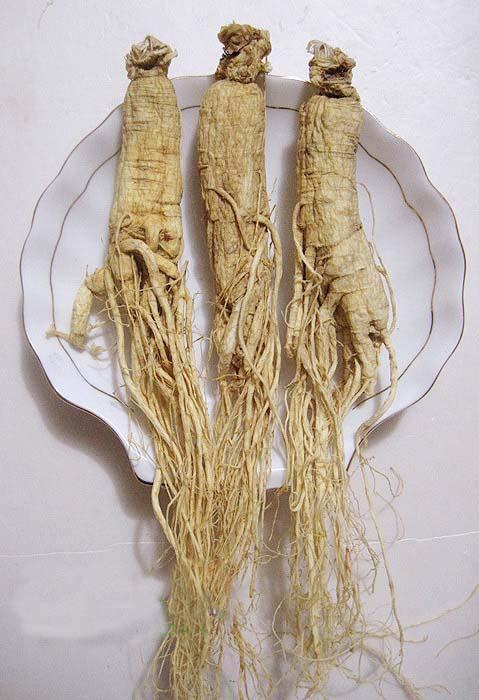 养生的方法的哪些养生的11个方法