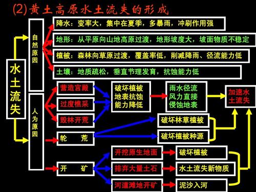 黄土高原的水土流失思维导图东北黑土地的水土流失其他地区,如东北