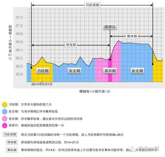 24小时体温变化曲线图图片