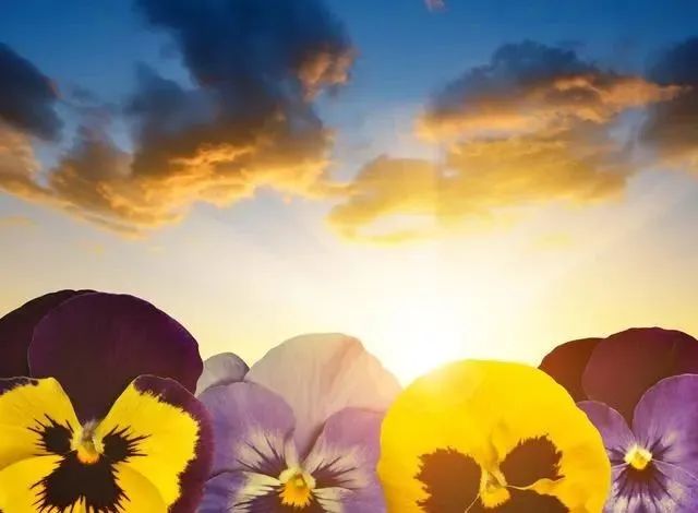 心境好,心情就顺了,看什么都舒服,烦恼自然就少了