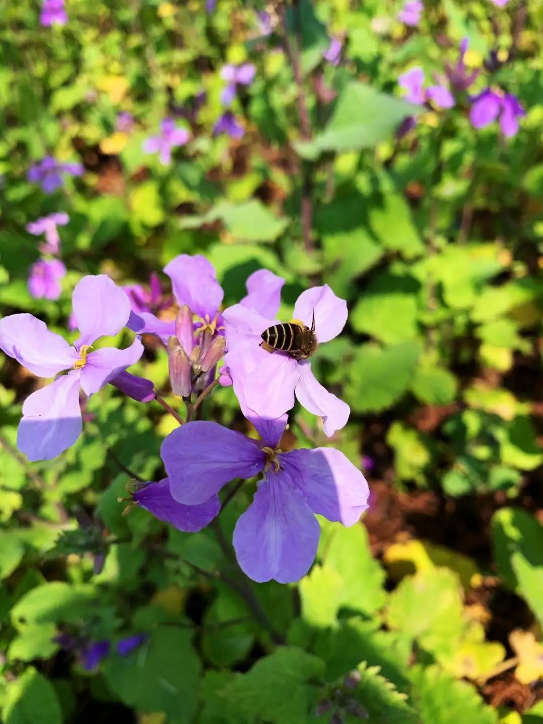 二月二春回大地万物复苏但是请大家摒住