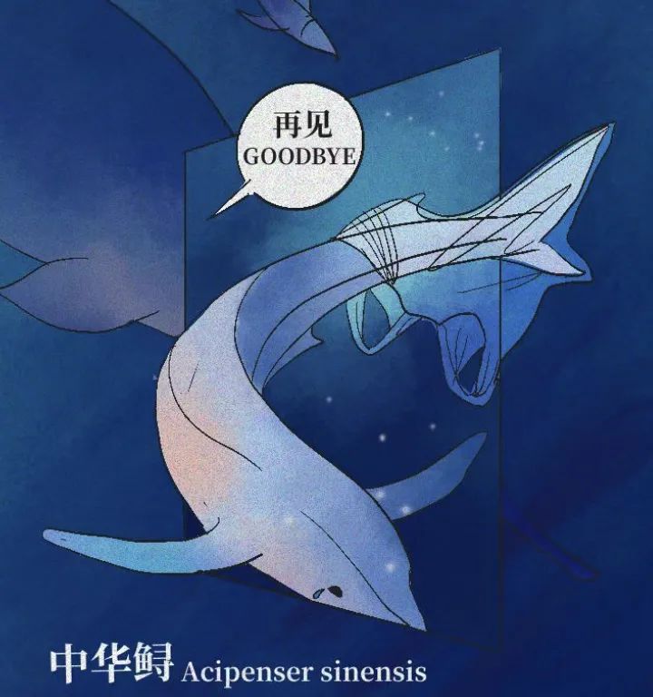 醇色在行动_长江