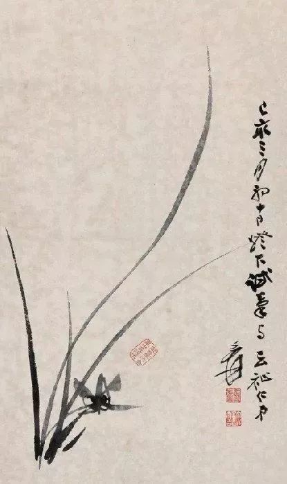 兰花之美君子之德