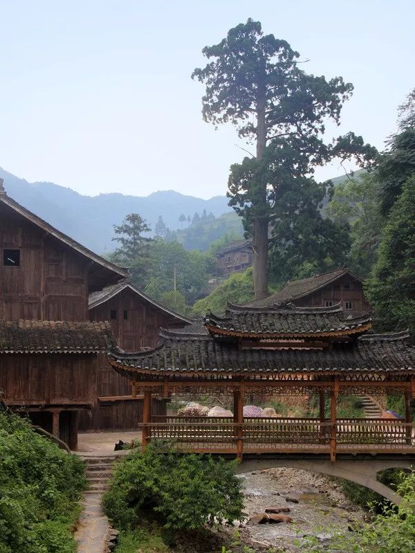 藏身于雷公山国家森林公园之中的格头苗寨