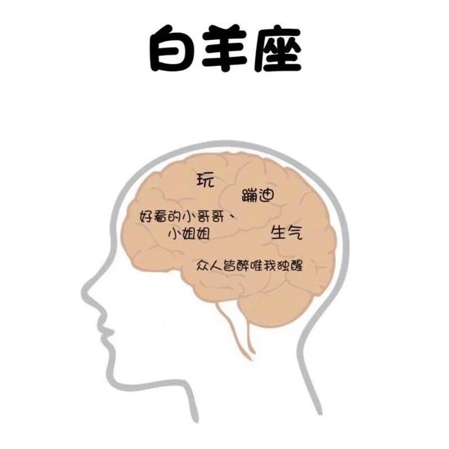 十二星座脑子里到底在想什么